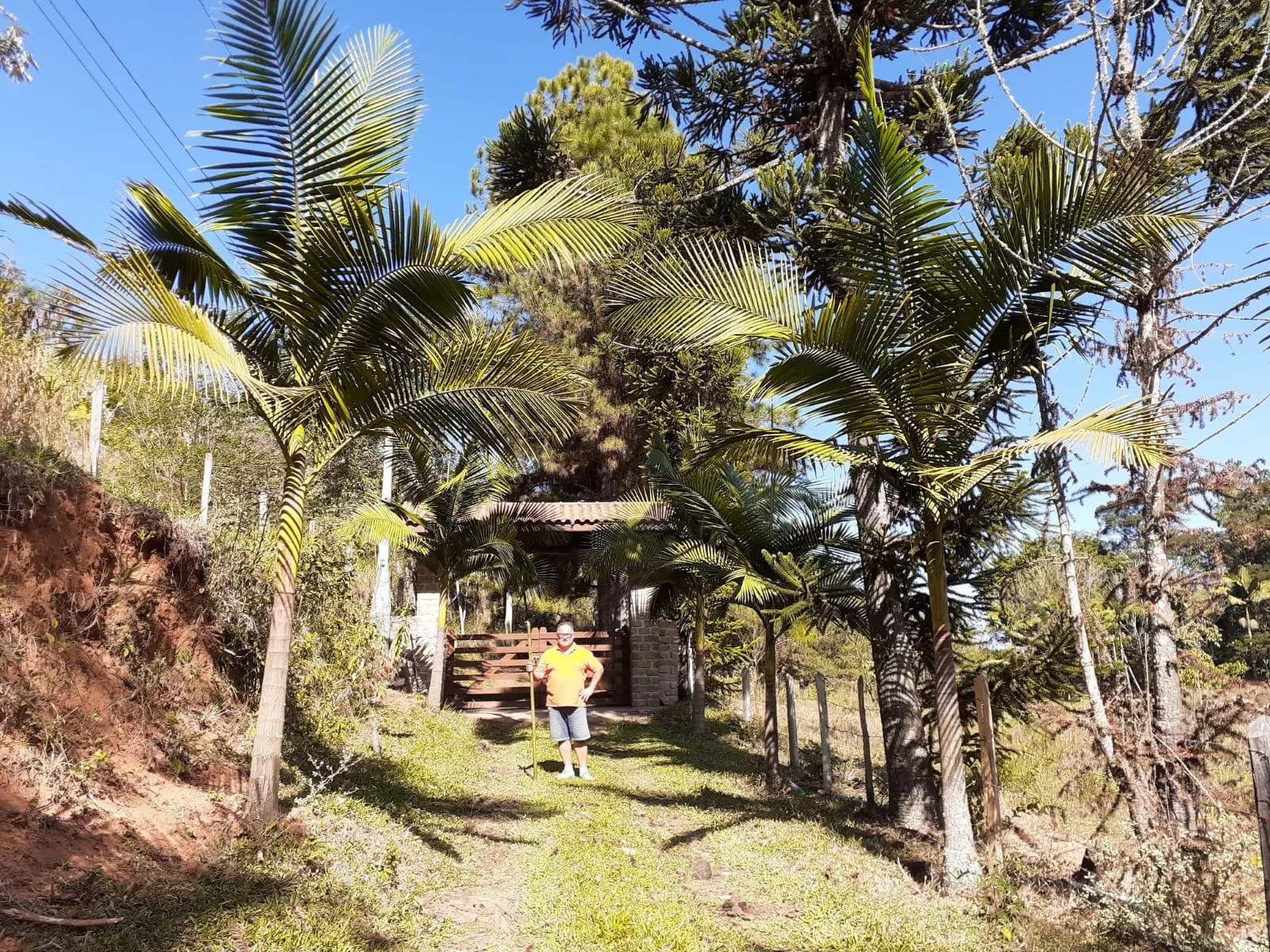 Small farm for sale of 12 acres in São José dos Campos, SP, Brazil