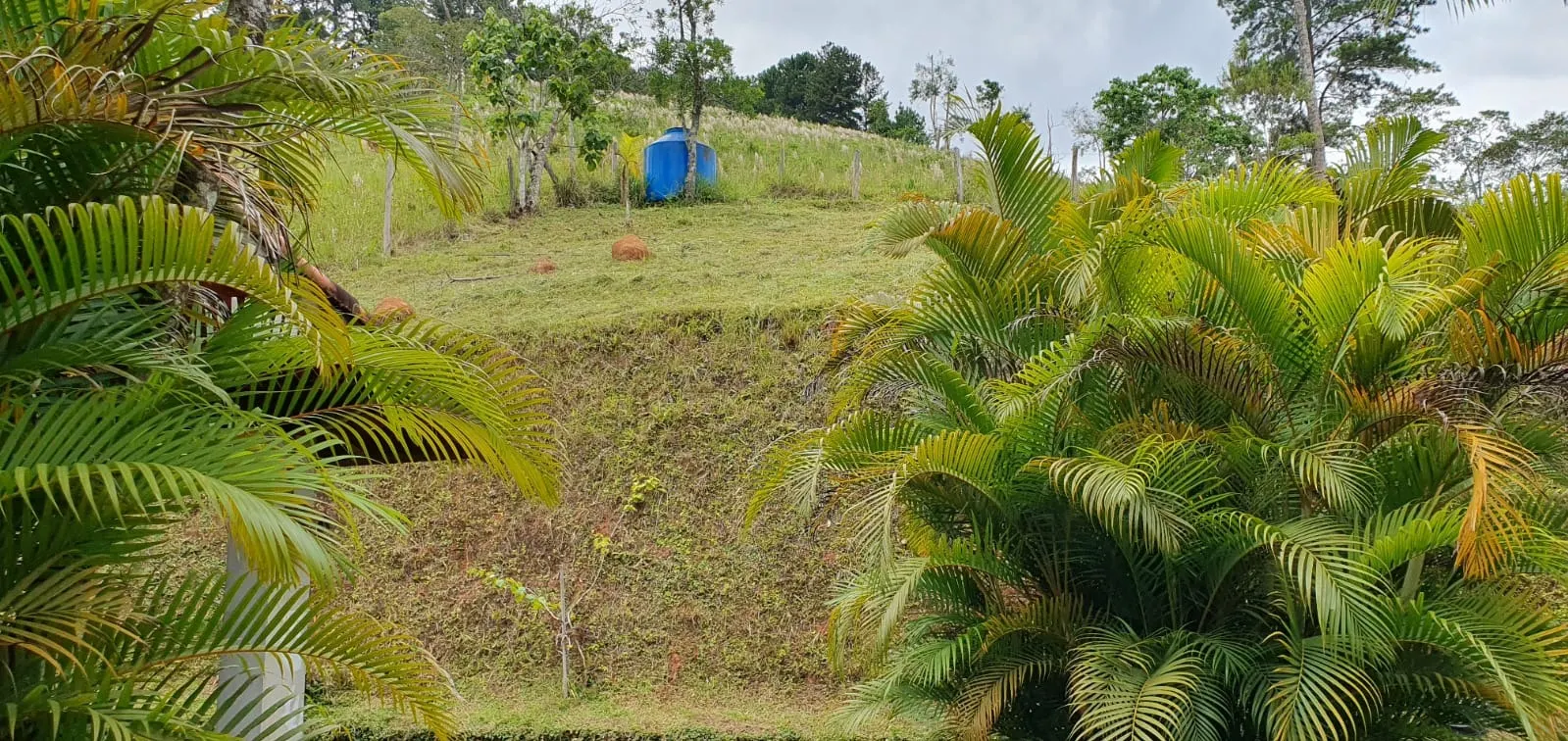 Small farm for sale of 12 acres in São José dos Campos, SP, Brazil