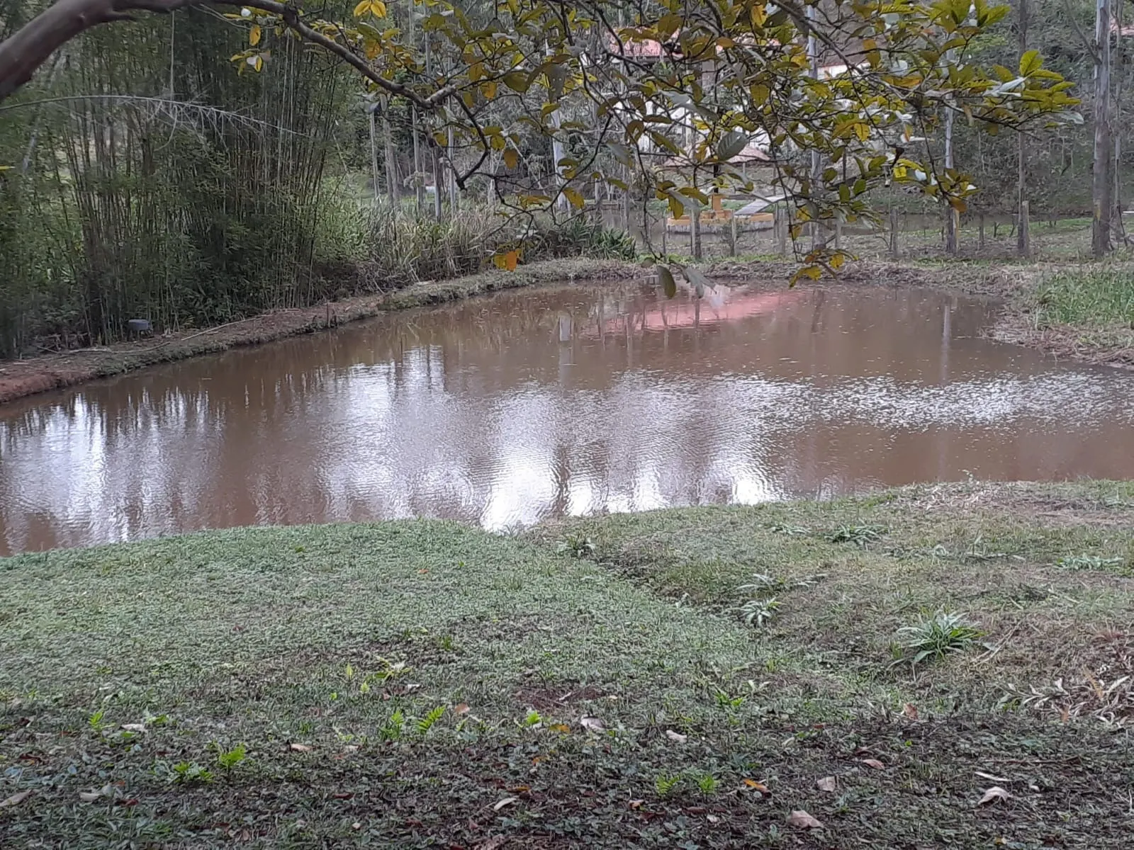 Small farm for sale of 12 acres in São José dos Campos, SP, Brazil