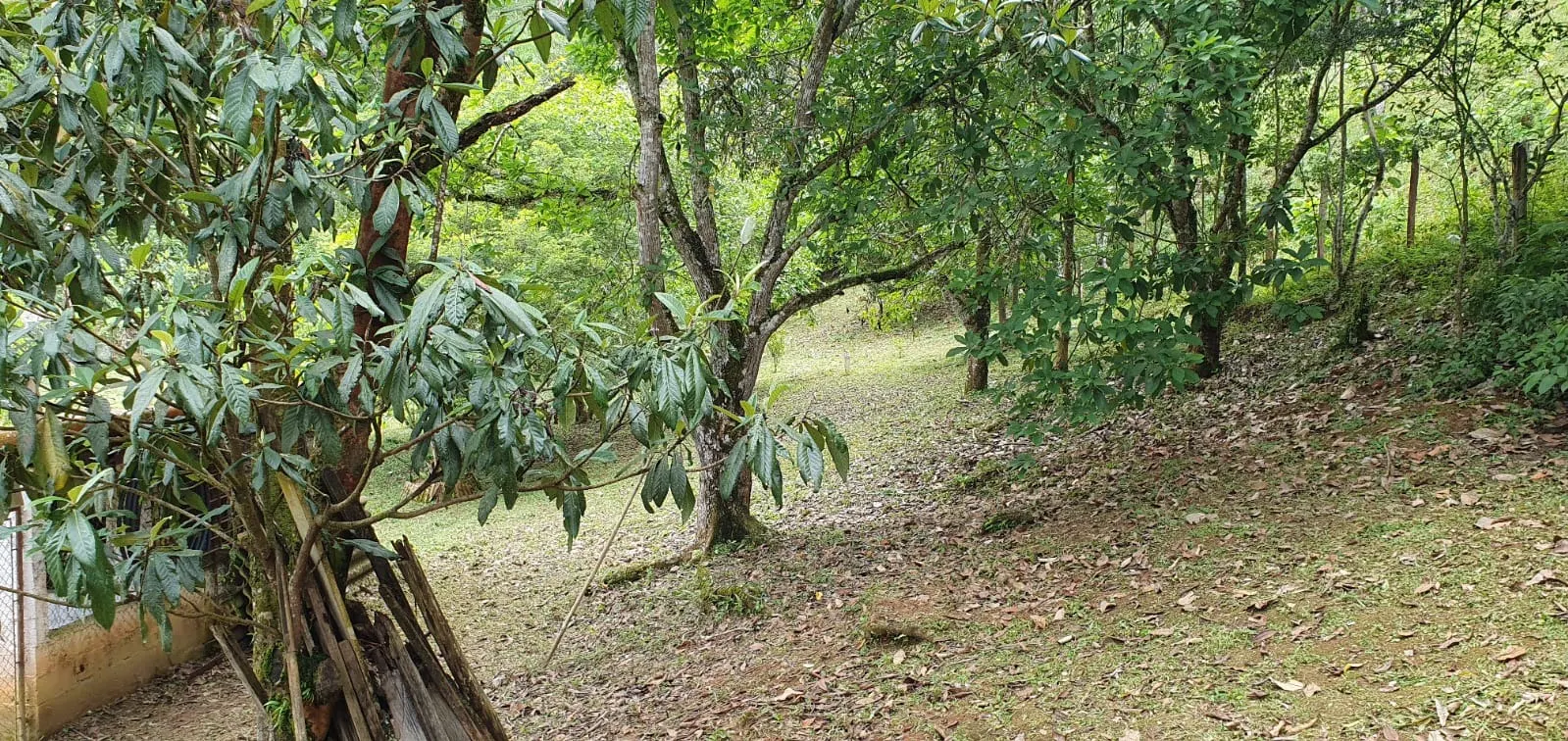 Small farm for sale of 12 acres in São José dos Campos, SP, Brazil