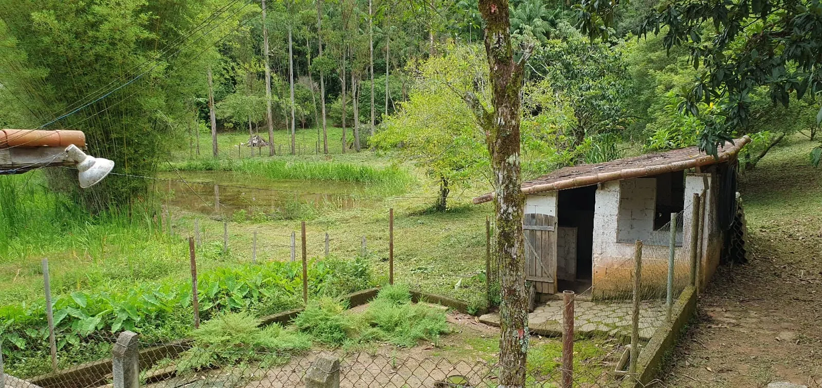 Small farm for sale of 12 acres in São José dos Campos, SP, Brazil