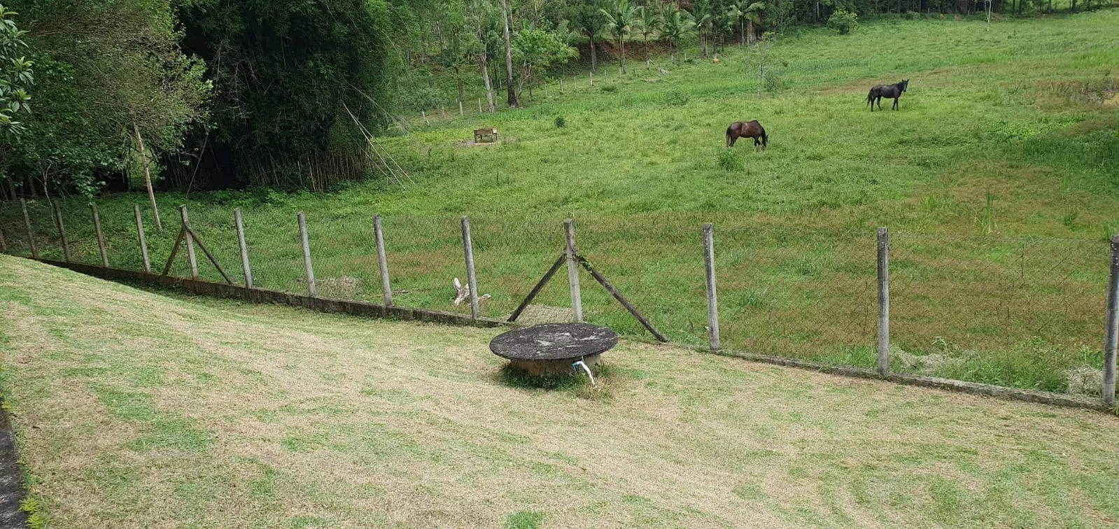 Small farm for sale of 12 acres in São José dos Campos, SP, Brazil