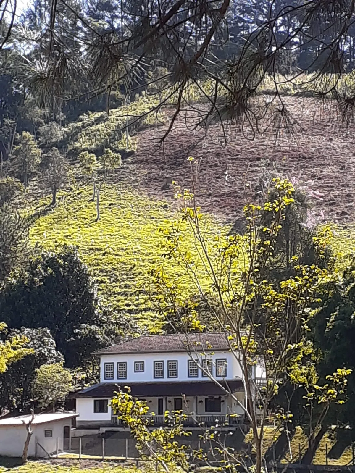 Small farm for sale of 12 acres in São José dos Campos, SP, Brazil