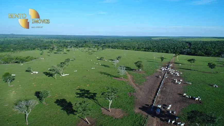 Fazenda à venda de 6.280 ha em Paranatinga, MT, Brasil