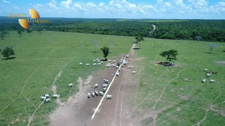 Fazenda à venda de 6.280 ha em Paranatinga, MT, Brasil
