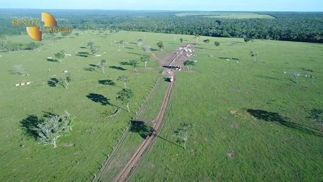 Fazenda à venda de 6.280 ha em Paranatinga, MT, Brasil