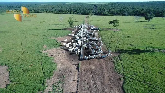Fazenda à venda de 6.280 ha em Paranatinga, MT, Brasil