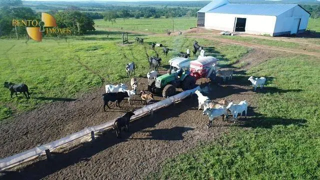 Fazenda à venda de 6.280 ha em Paranatinga, MT, Brasil