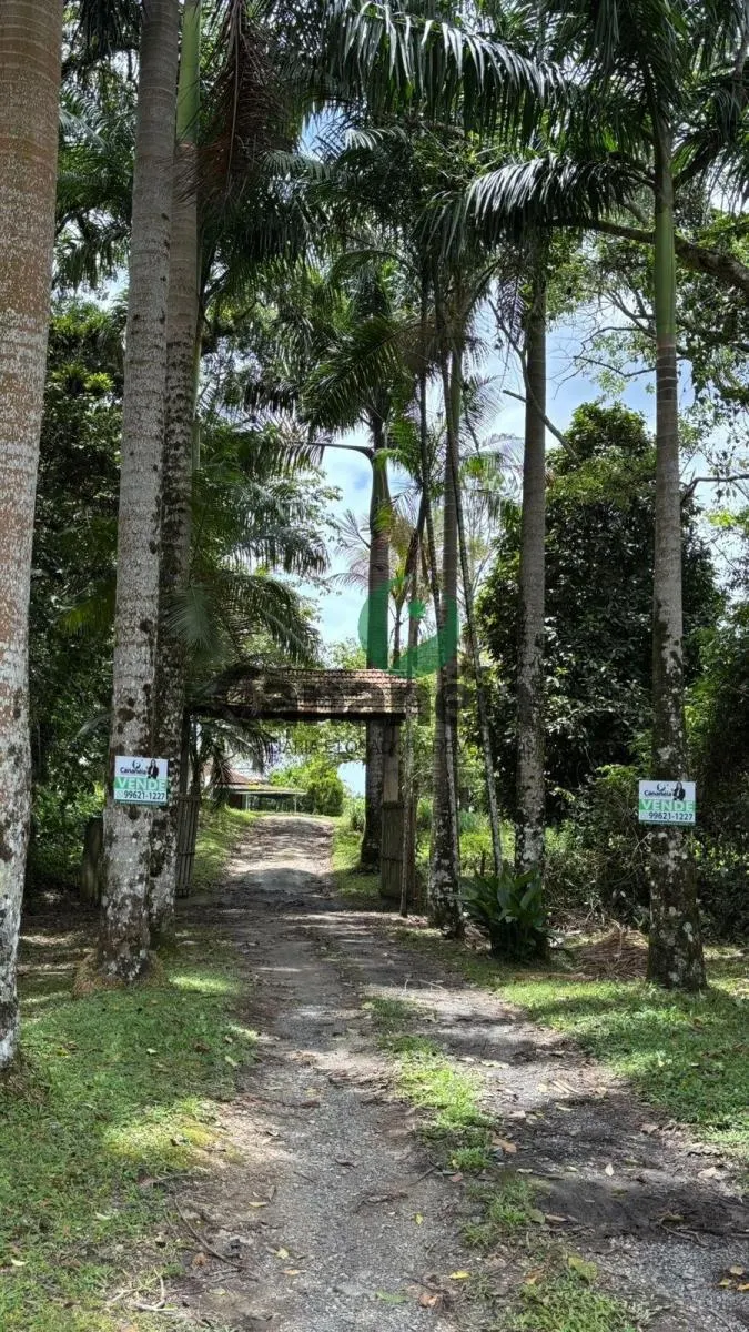 Small farm for sale of 41 acres in Cananéia, SP, Brazil