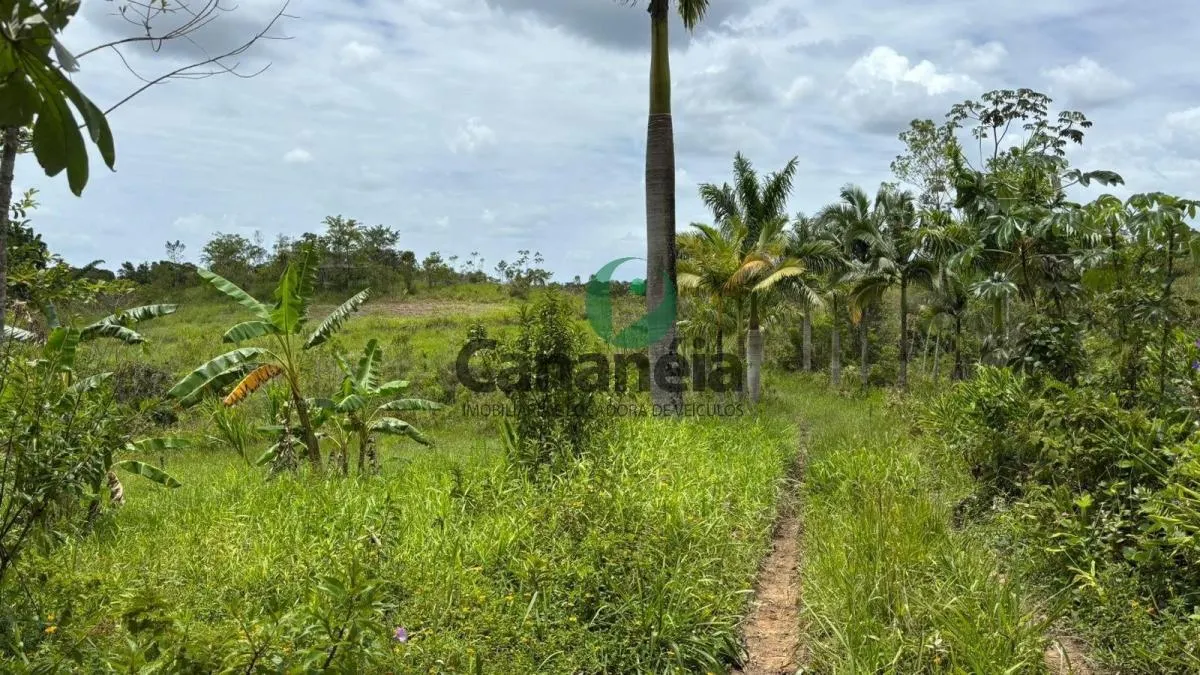 Small farm for sale of 41 acres in Cananéia, SP, Brazil