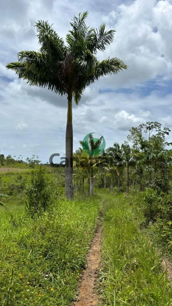 Small farm for sale of 41 acres in Cananéia, SP, Brazil