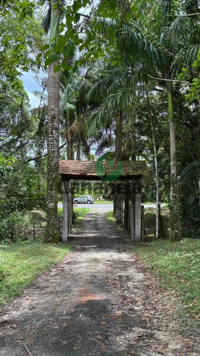 Small farm for sale of 41 acres in Cananéia, SP, Brazil