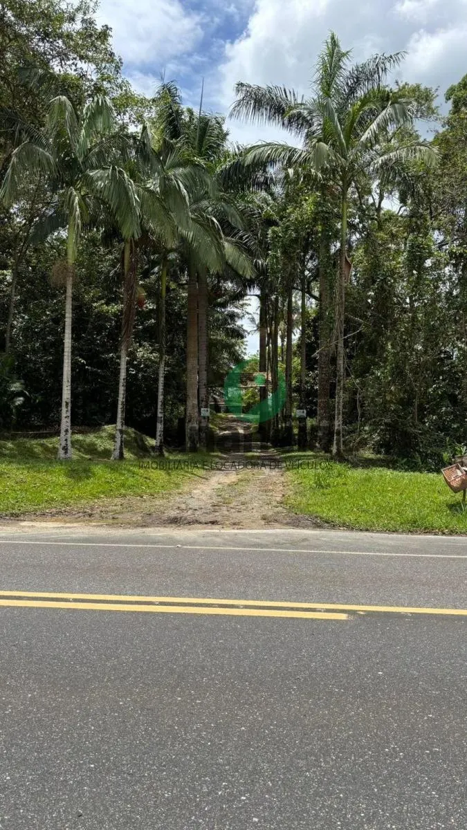 Small farm for sale of 41 acres in Cananéia, SP, Brazil