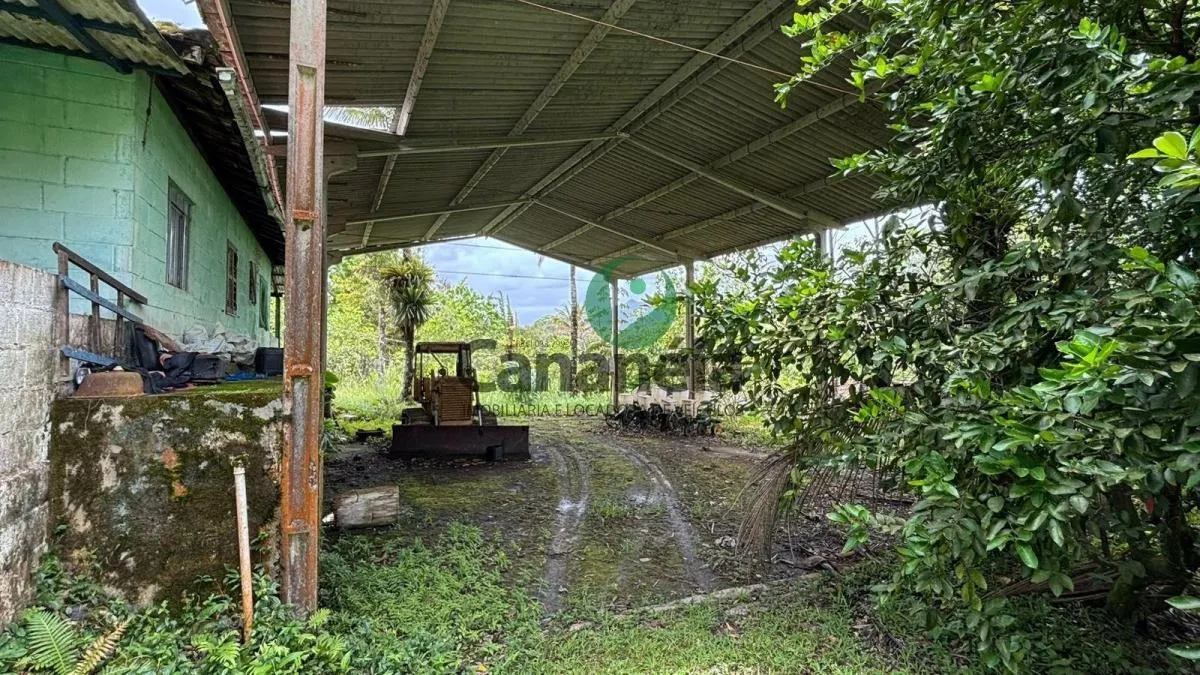 Small farm for sale of 41 acres in Cananéia, SP, Brazil