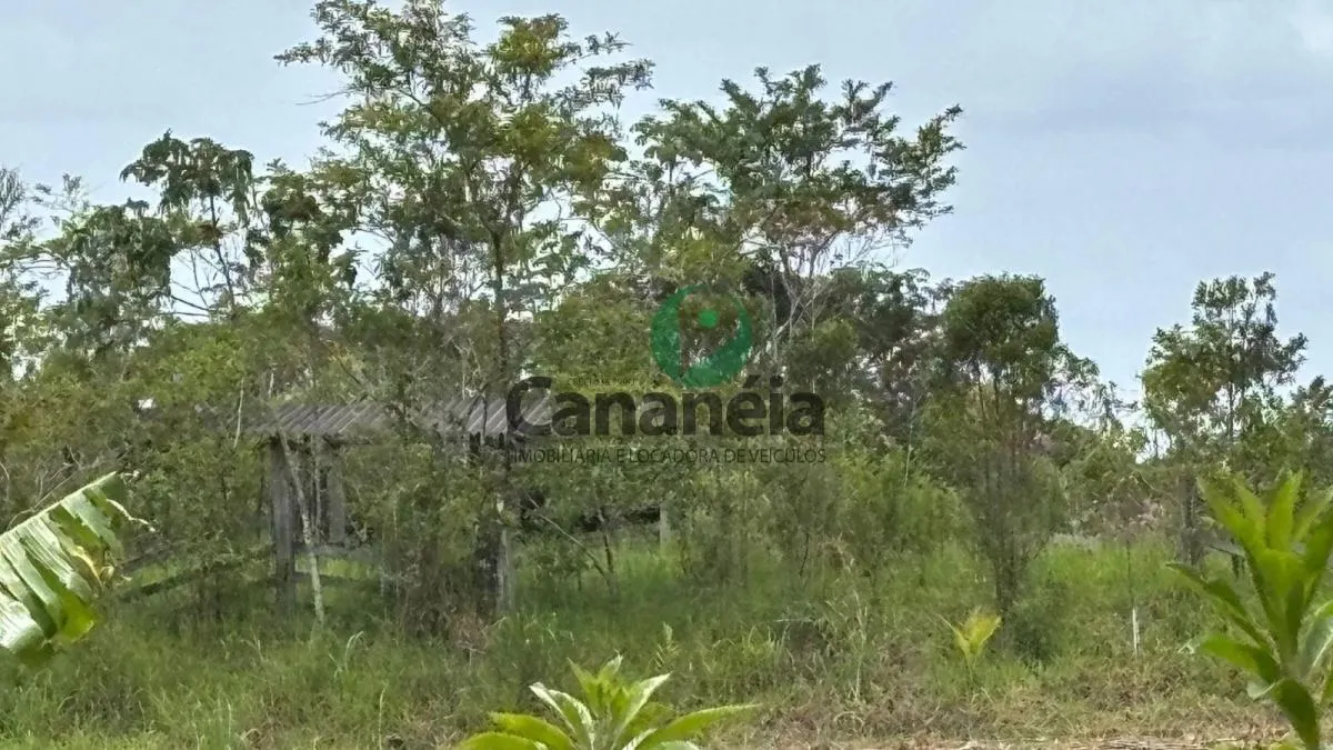 Small farm for sale of 41 acres in Cananéia, SP, Brazil