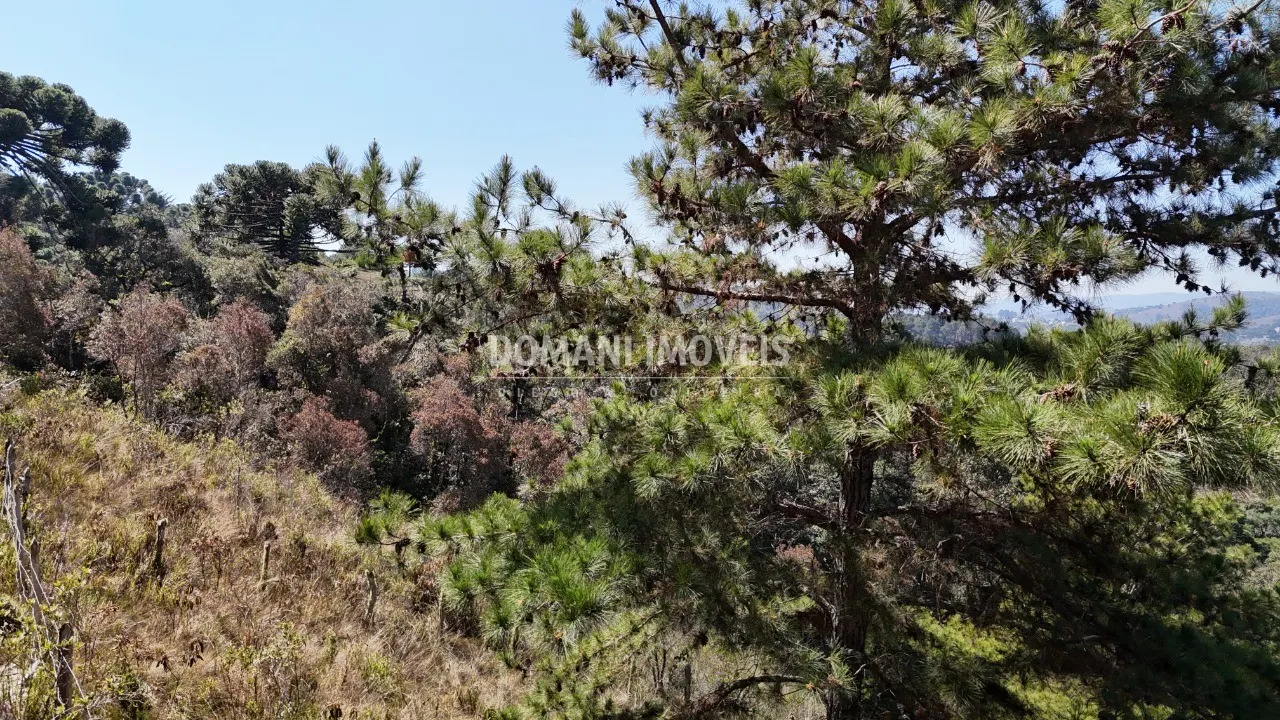 Plot for sale of 1,270 m² in Campos do Jordão, SP, Brazil