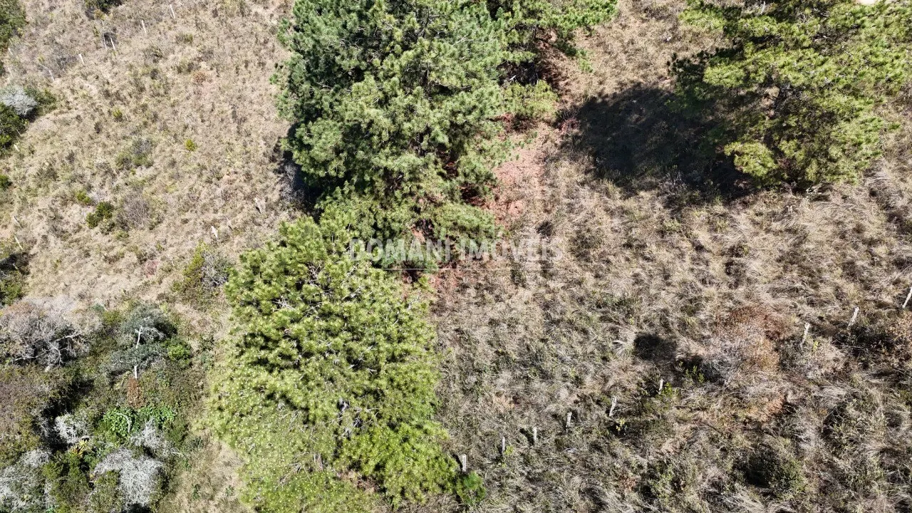 Plot for sale of 1,270 m² in Campos do Jordão, SP, Brazil