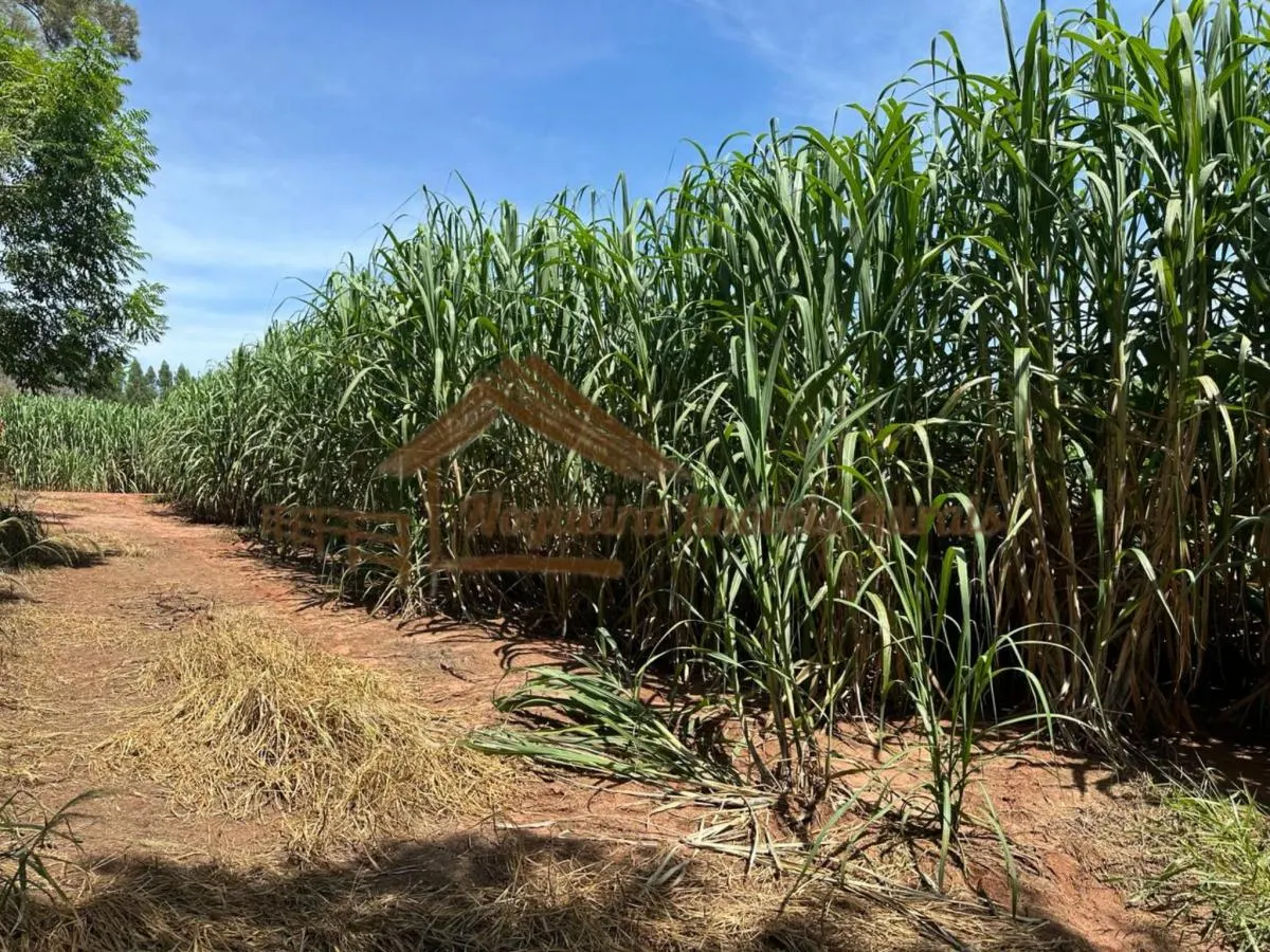 Farm for sale of 237 acres in Cerqueira César, SP, Brazil