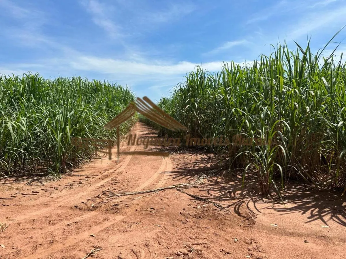 Farm for sale of 237 acres in Cerqueira César, SP, Brazil