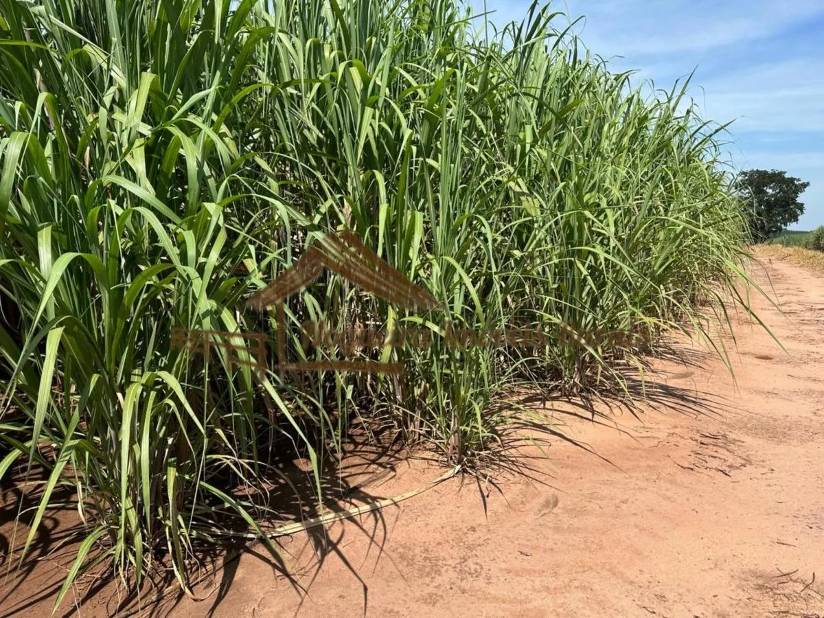 Farm for sale of 237 acres in Cerqueira César, SP, Brazil