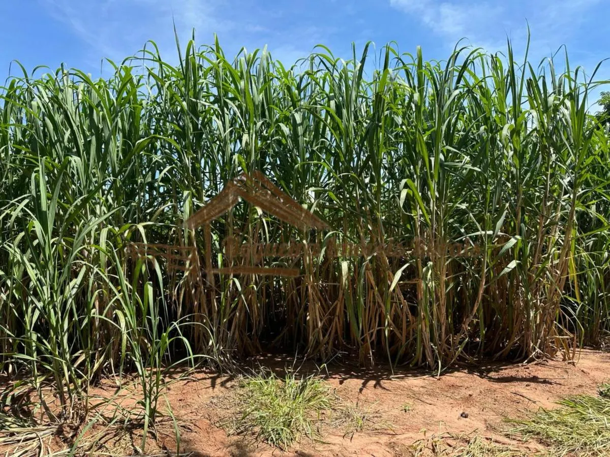 Farm for sale of 237 acres in Cerqueira César, SP, Brazil