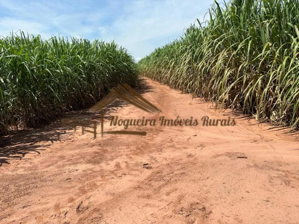 Farm for sale of 237 acres in Cerqueira César, SP, Brazil