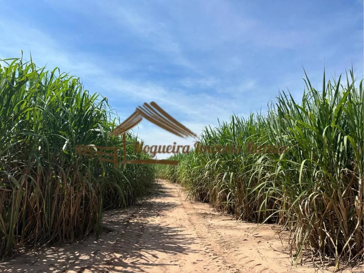 Farm for sale of 237 acres in Cerqueira César, SP, Brazil