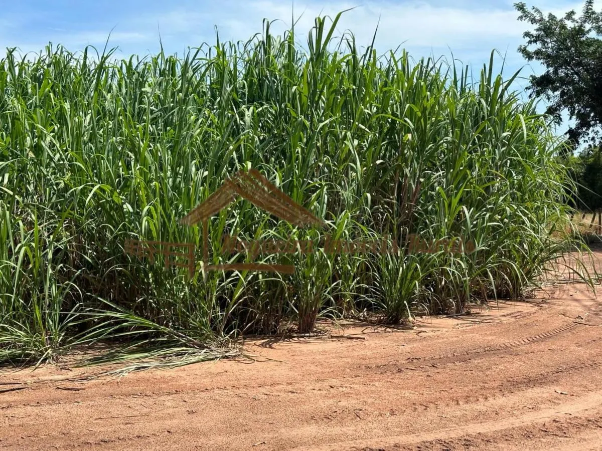 Farm for sale of 237 acres in Cerqueira César, SP, Brazil
