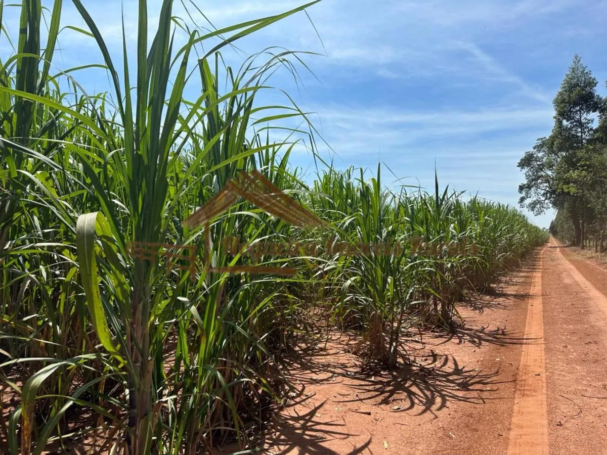 Farm for sale of 237 acres in Cerqueira César, SP, Brazil