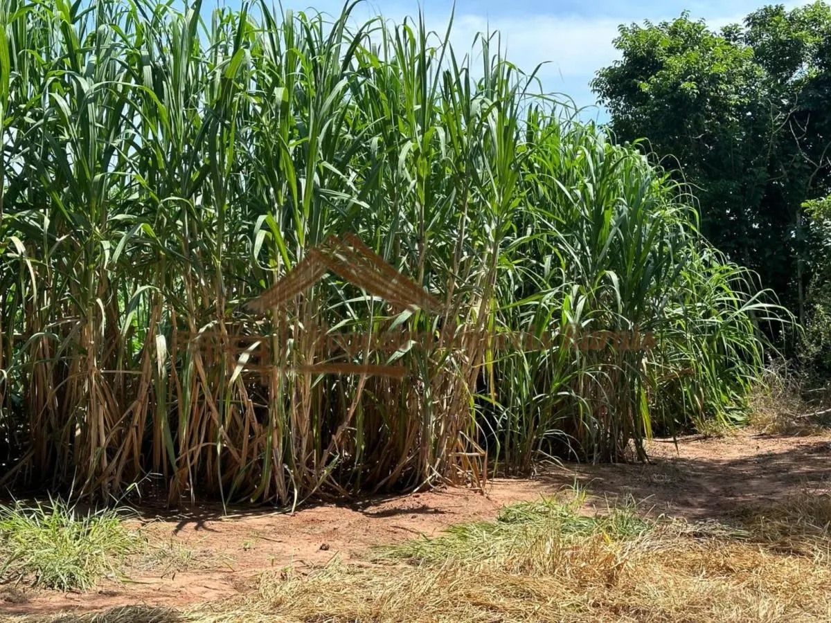 Farm for sale of 237 acres in Cerqueira César, SP, Brazil