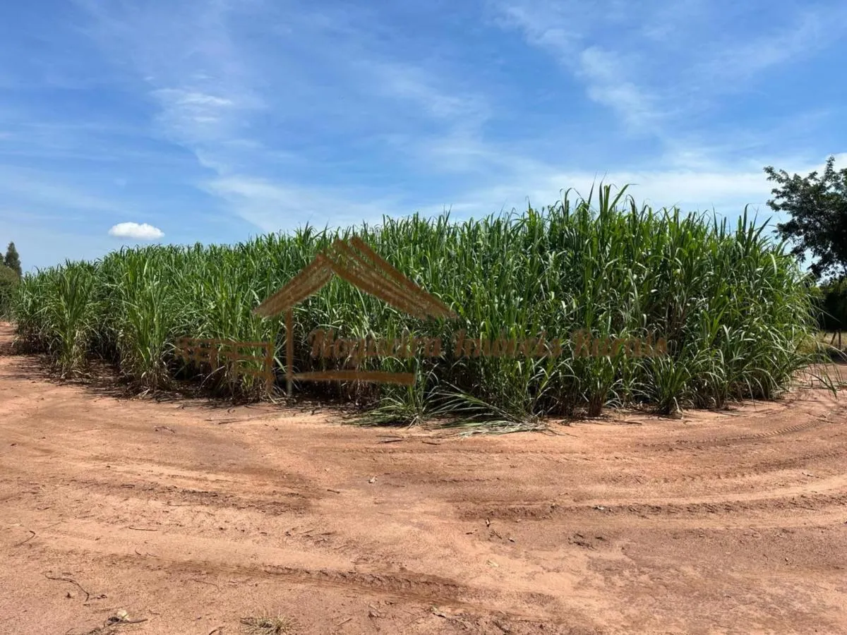 Farm for sale of 237 acres in Cerqueira César, SP, Brazil