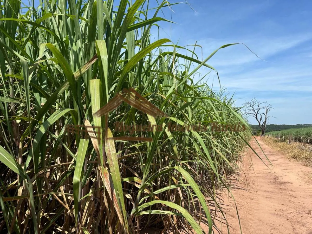 Farm for sale of 237 acres in Cerqueira César, SP, Brazil