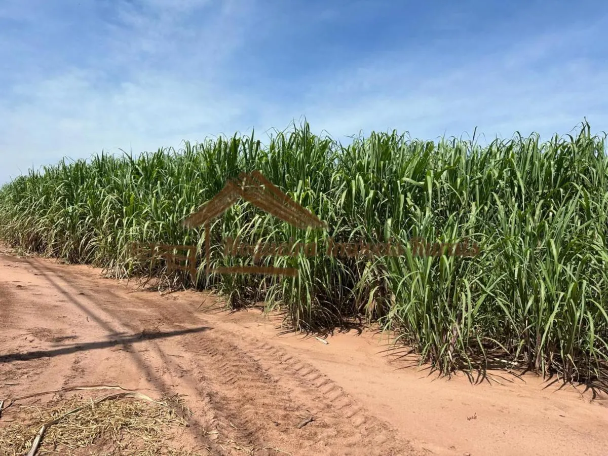 Farm for sale of 237 acres in Cerqueira César, SP, Brazil