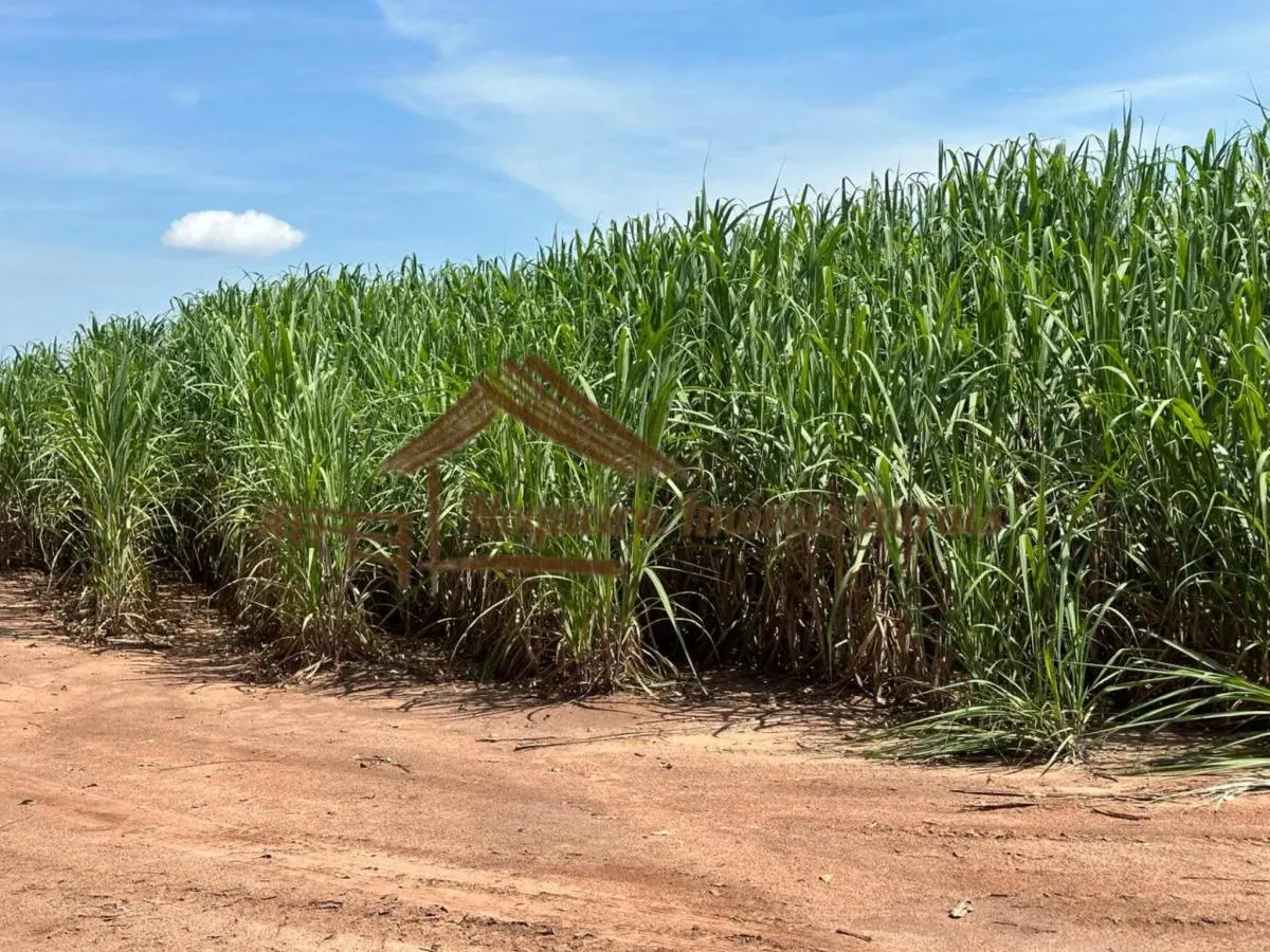 Farm for sale of 237 acres in Cerqueira César, SP, Brazil