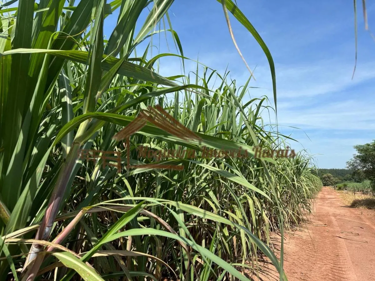 Farm for sale of 237 acres in Cerqueira César, SP, Brazil