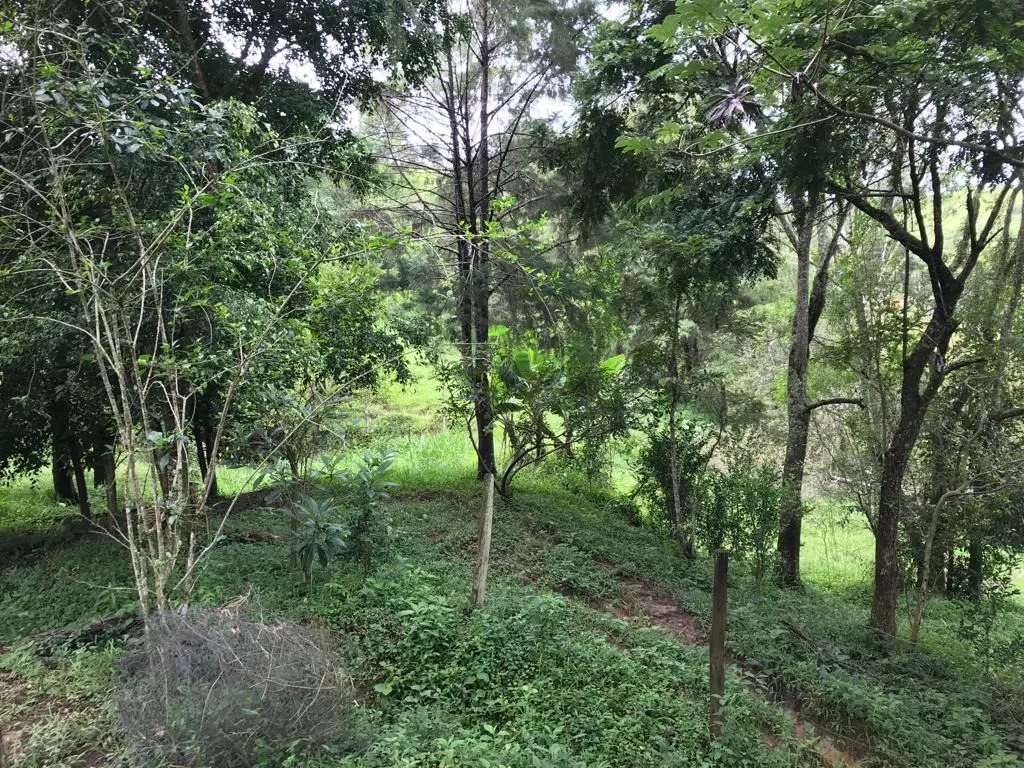 Sítio à venda de 31 ha em Jambeiro, SP, Brasil