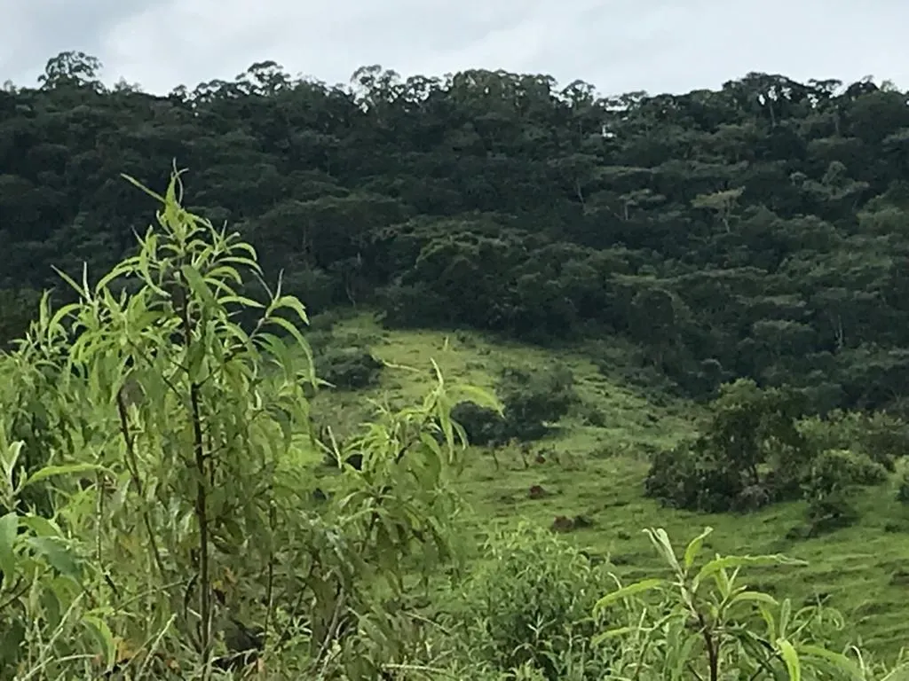 Small farm for sale of 78 acres in Jambeiro, SP, Brazil