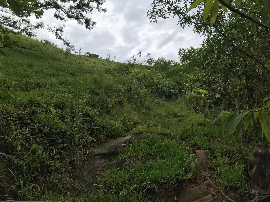 Small farm for sale of 78 acres in Jambeiro, SP, Brazil