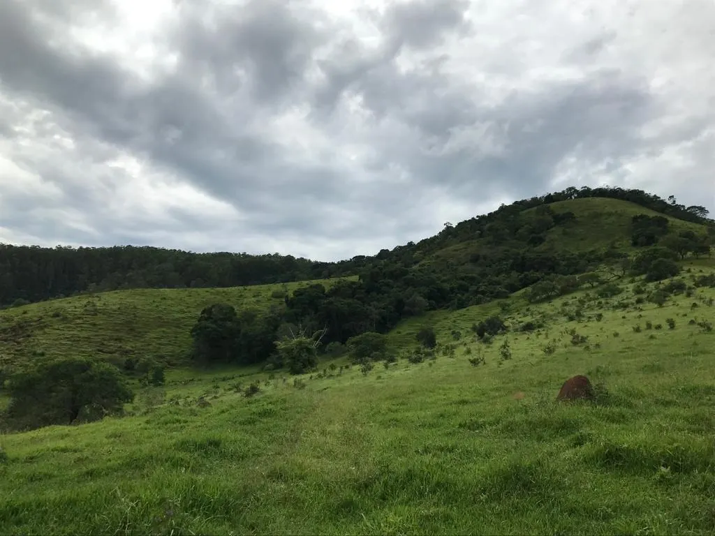 Small farm for sale of 78 acres in Jambeiro, SP, Brazil