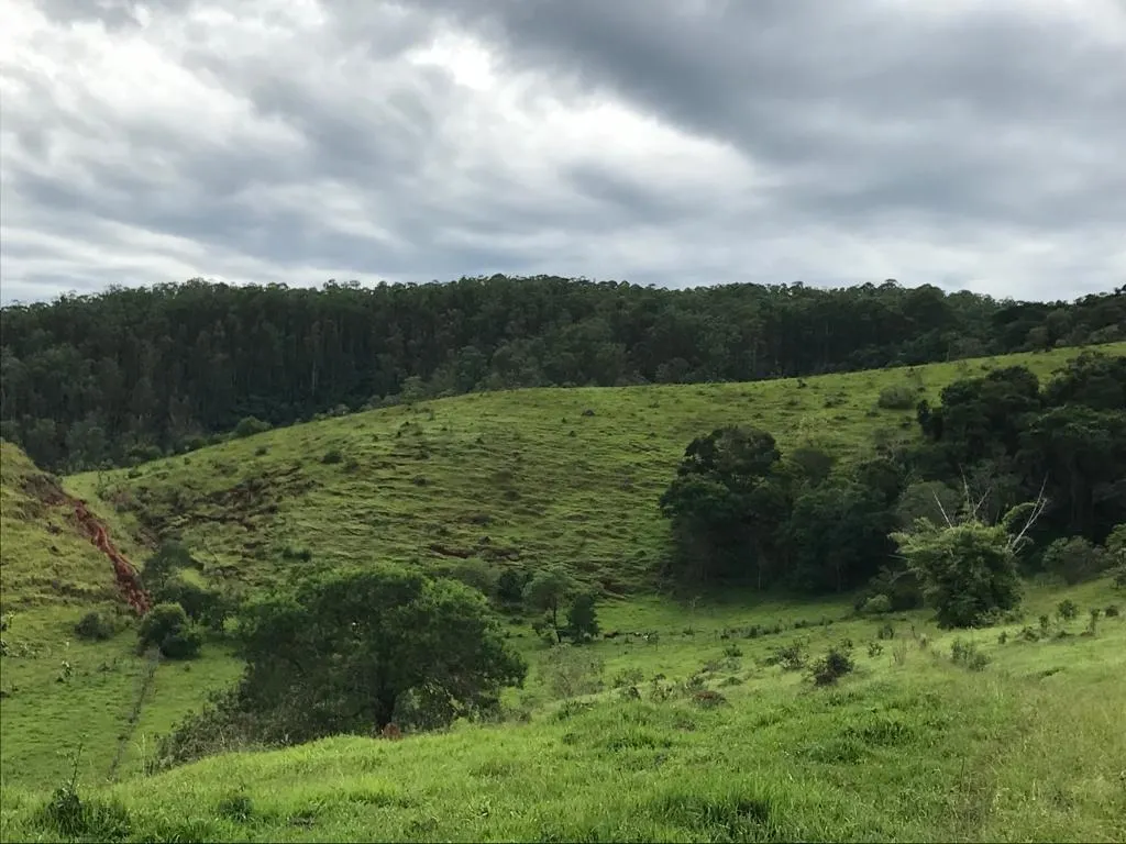 Small farm for sale of 78 acres in Jambeiro, SP, Brazil