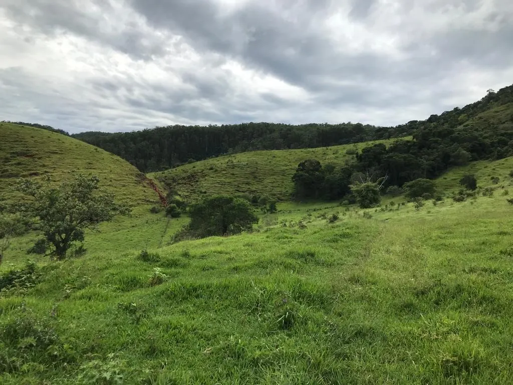 Small farm for sale of 78 acres in Jambeiro, SP, Brazil