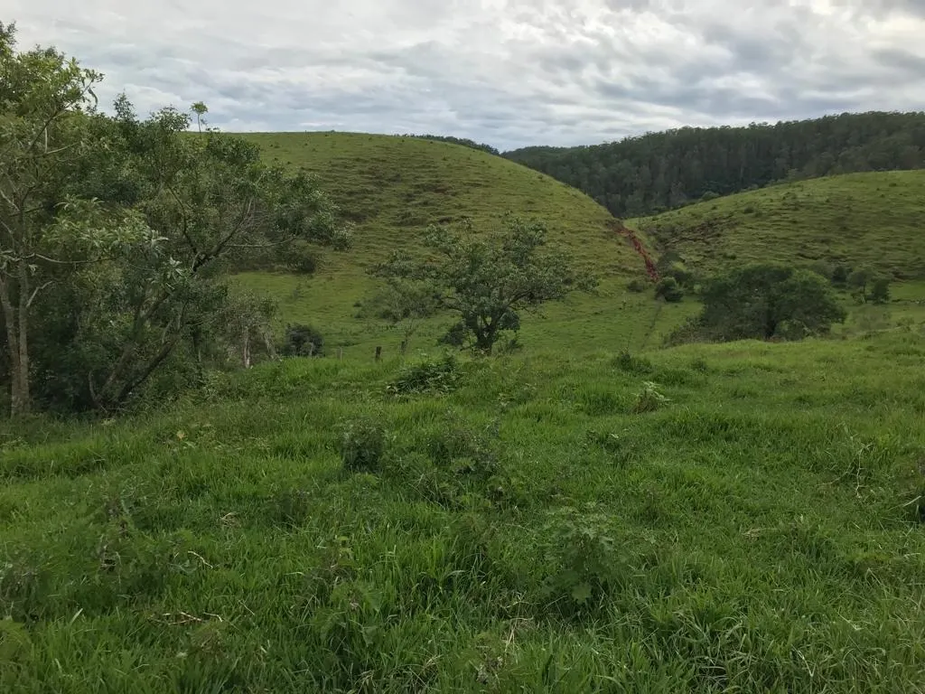 Small farm for sale of 78 acres in Jambeiro, SP, Brazil