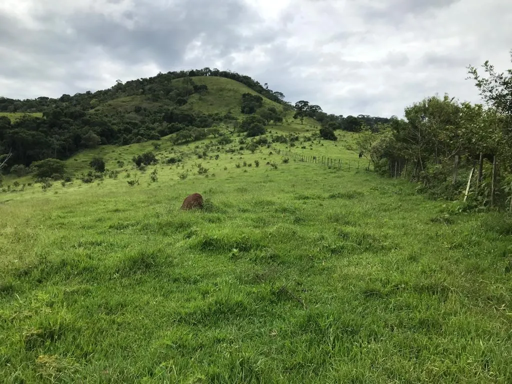 Small farm for sale of 78 acres in Jambeiro, SP, Brazil