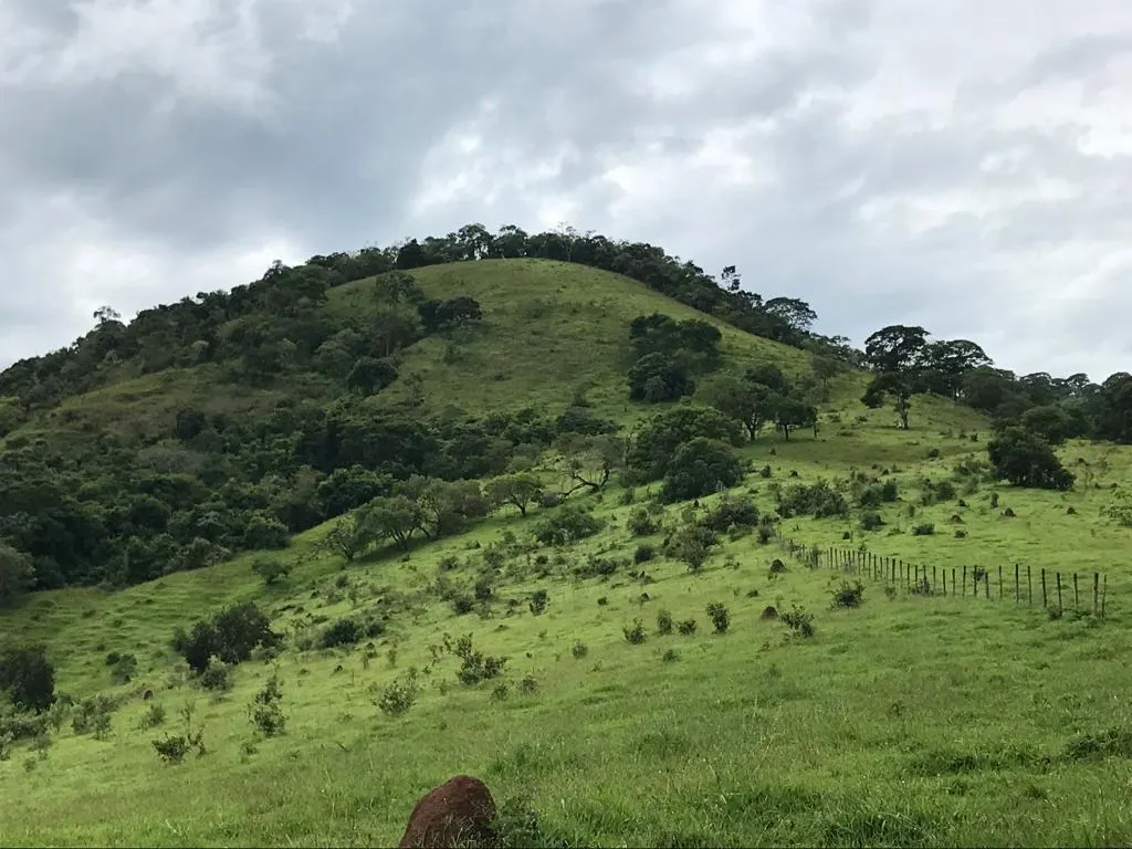 Small farm for sale of 78 acres in Jambeiro, SP, Brazil
