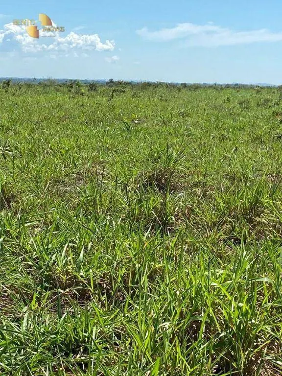 Farm for sale of 4,028 acres in Poconé, MT, Brazil