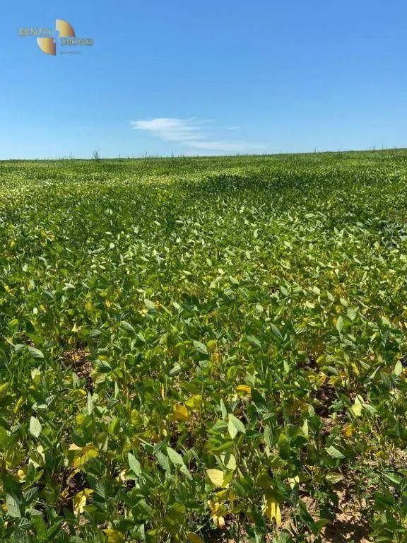 Fazenda à venda de 1.630 ha em Poconé, MT, Brasil