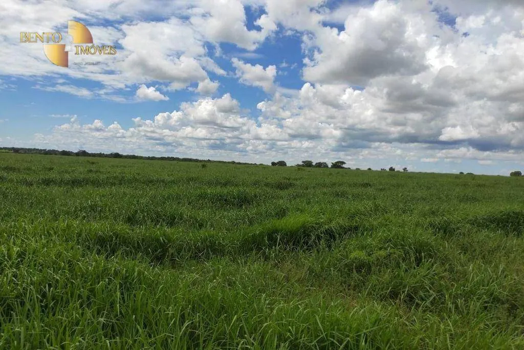 Farm for sale of 4,028 acres in Poconé, MT, Brazil