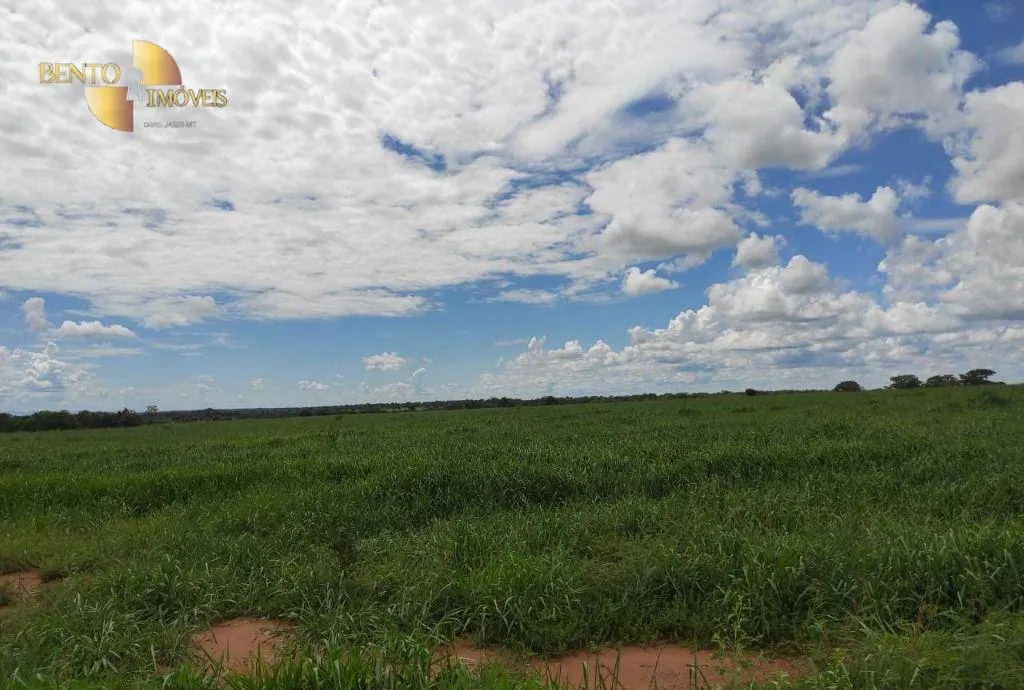 Farm for sale of 4,028 acres in Poconé, MT, Brazil