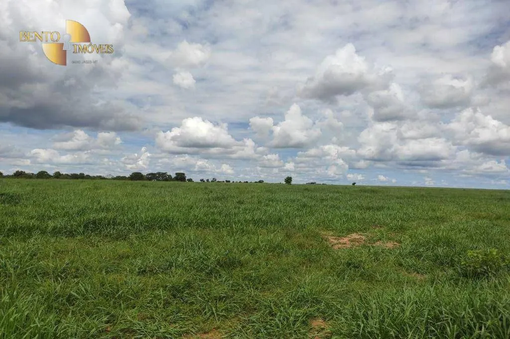 Farm for sale of 4,028 acres in Poconé, MT, Brazil