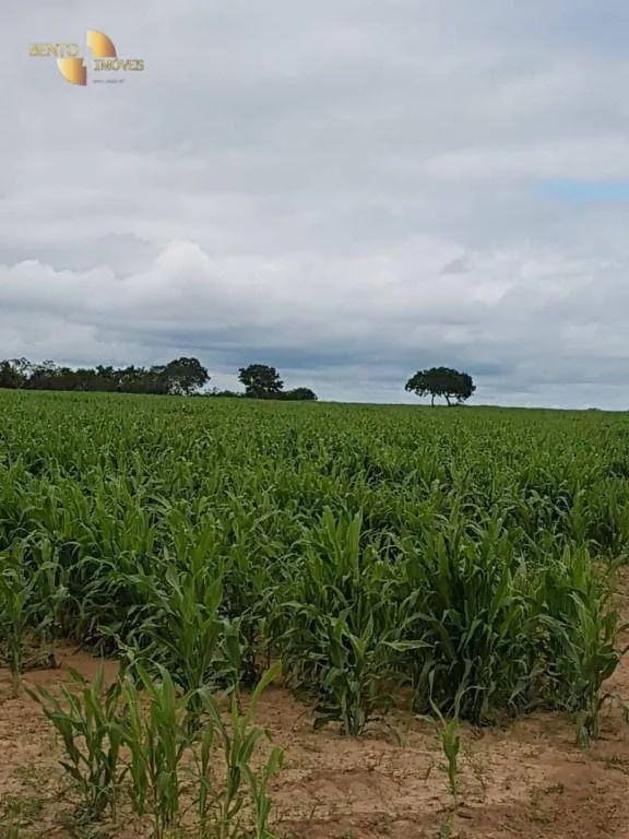 Farm for sale of 4,028 acres in Poconé, MT, Brazil